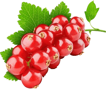 Cranberry