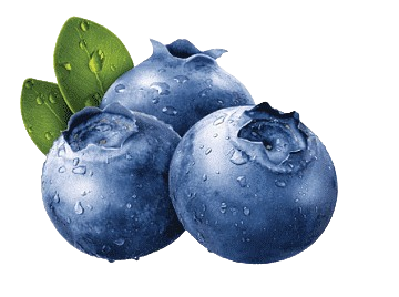 Blueberry